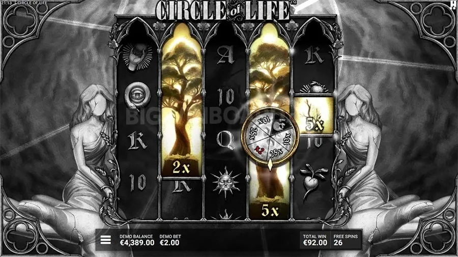 Bingo Plus Guide